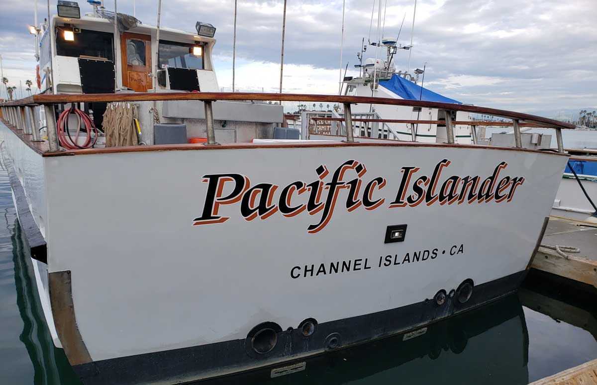 Pacific Islander